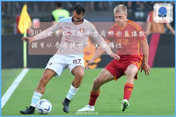 2026世界杯买球平台有哪些直播数据可以参考提升下注准确性