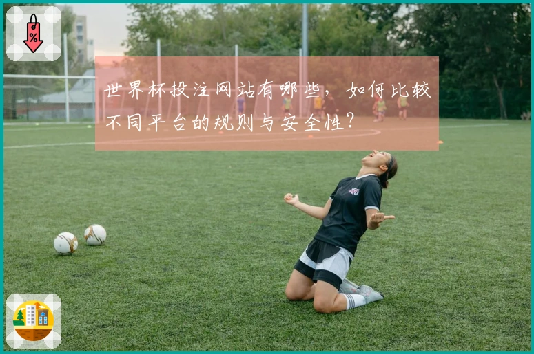 世界杯投注网站有哪些，如何比较不同平台的规则与安全性？