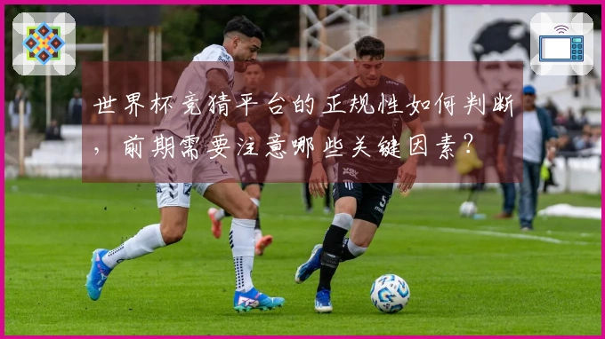 开云体育资讯图片