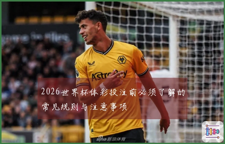 开云体育资讯图片