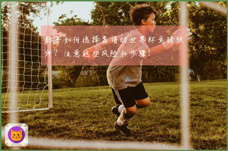新手如何选择靠谱的世界杯竞猜软件？注意这些风险和步骤！