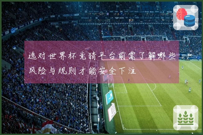 选对世界杯竞猜平台前需了解哪些风险与规则才能安全下注