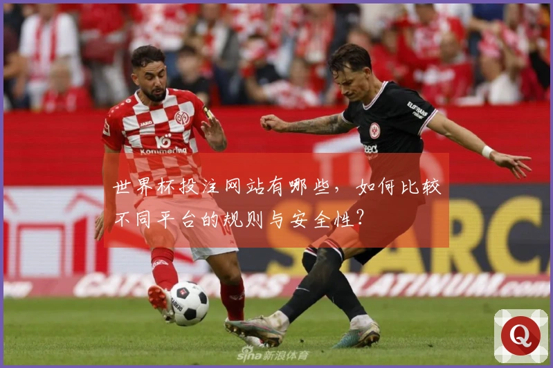 世界杯投注网站有哪些，如何比较不同平台的规则与安全性？