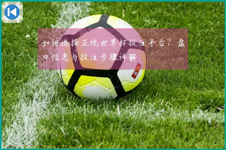如何选择正规世界杯投注平台？盘口信息与投注步骤详解